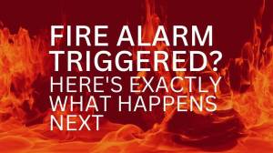 Fire Alarm Triggered Here's Exactly What Happens Next